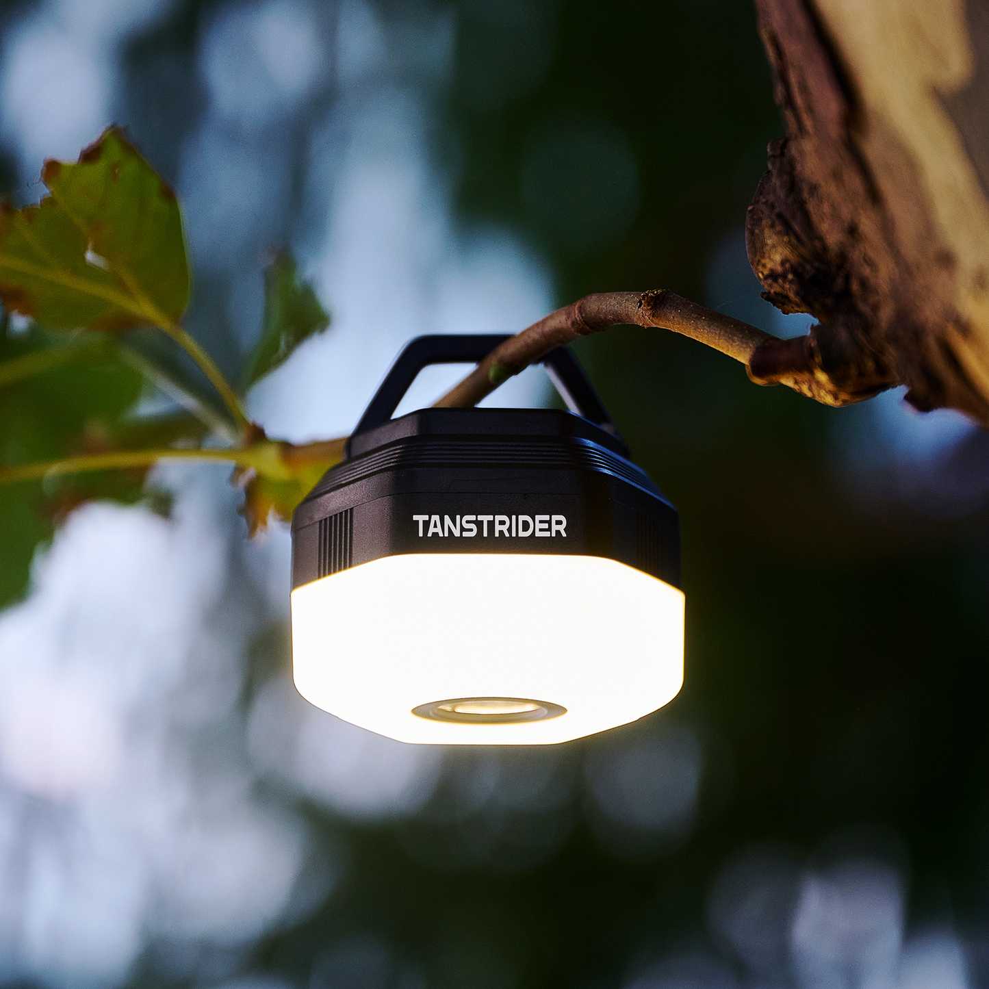 Starburst light